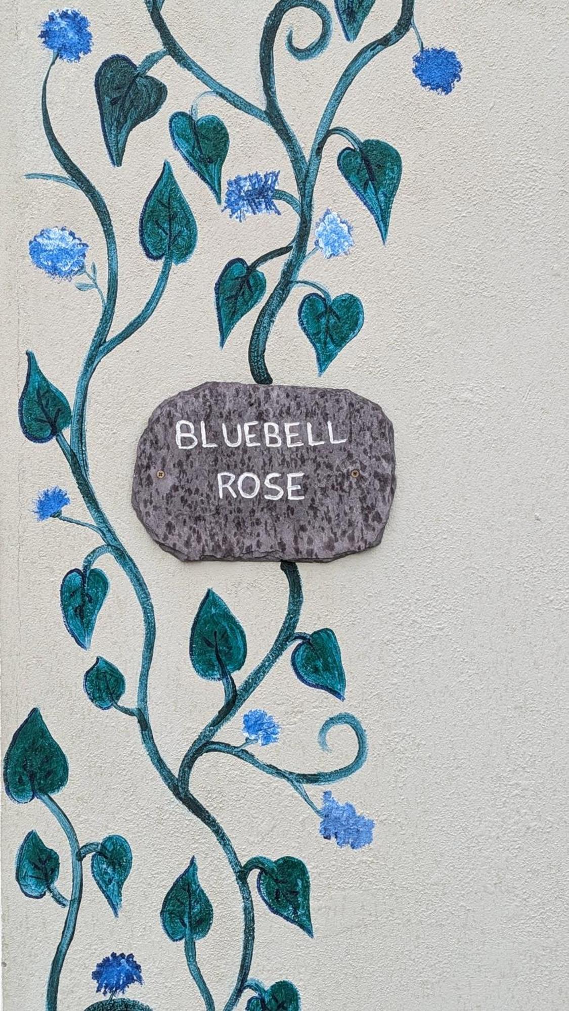 ポートマギーSkellig View Bluebell Rose & The Kerry Cliffsアパートメント エクステリア 写真